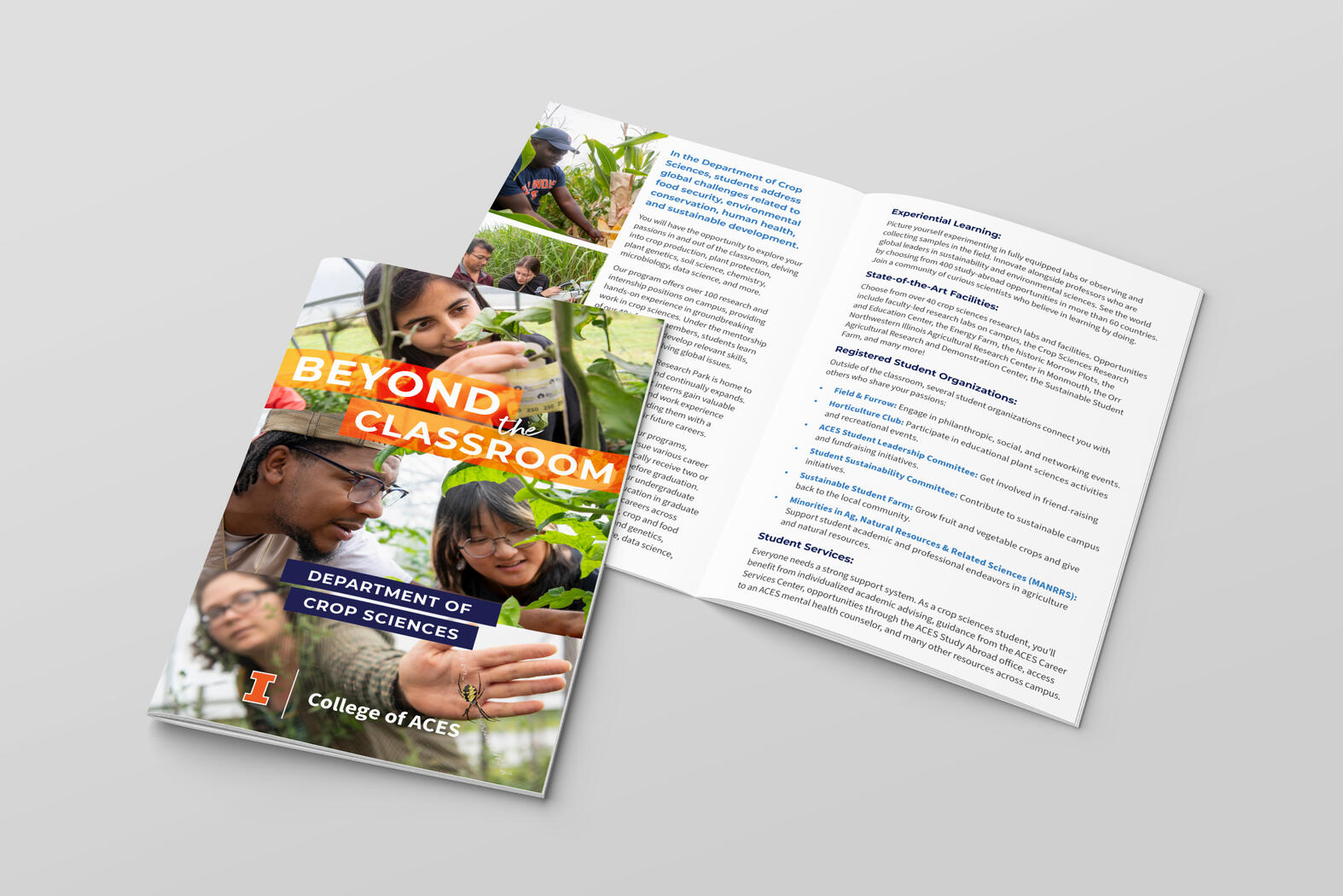 Beyond the Classroom